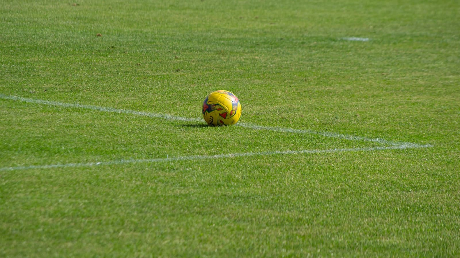 Sports — illustrative